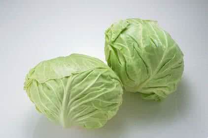 清热去火的蔬菜 洋白菜的做法大全 清爽蔬菜清热又去火