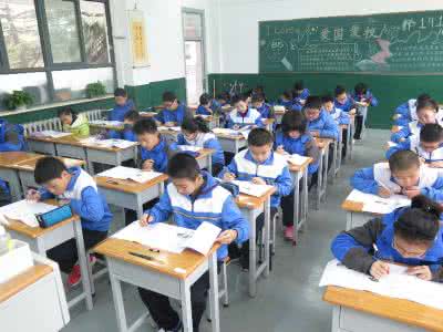 中学生素质教育论文 中学生的语文教学与素质教育