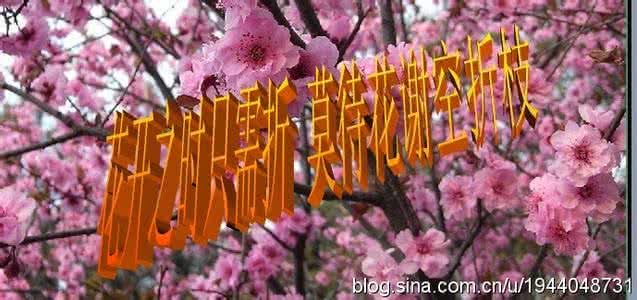 花开花谢花满天 花开花谢 花开又花谢，你在哪里苍老