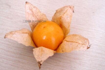 黄姑娘果禁忌 姑娘果怎么吃