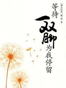 温暖的雪书阅读答案 等待一双脚为我停留阅读答案