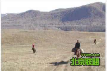 老夫妻婚纱照丑哭 老夫妻徒步无人区 看哭! 老夫妻40年从未分开, 为带孙子三年未见, 目前又被预订六年