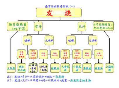 葱白煮水治感冒 图解治感冒