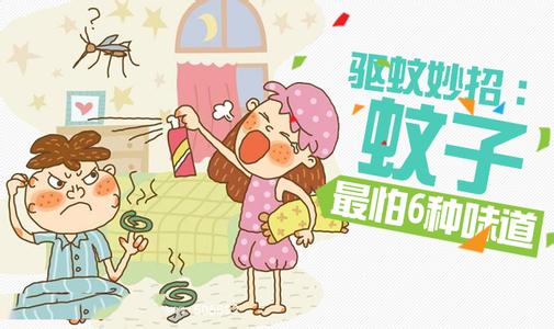 蚊子多怎么有效的驱蚊 蚊子多怎么办 7种方式轻松驱蚊