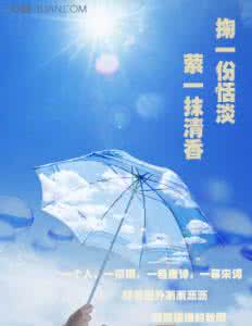 一抹清香 掬一份恬淡，萦一抹清香