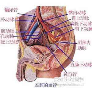 盆腔炎的危害 盆腔炎的危害 夏季小心盆腔炎 盆腔炎有很大危害