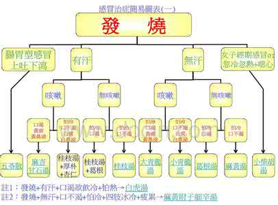 感冒发烧药 【转载】感冒发烧中成药 最详尽解析 教你明明白白治愈各种感冒！ 常见感冒不同类型的八个实实...