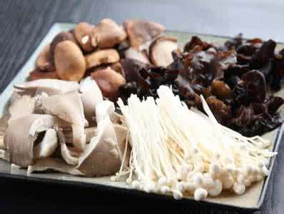 烧烤常用食材 常用菌类食材简介