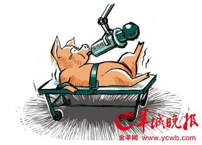 技术创新进化论 关于食品进化论 有些创新你可能从未听说