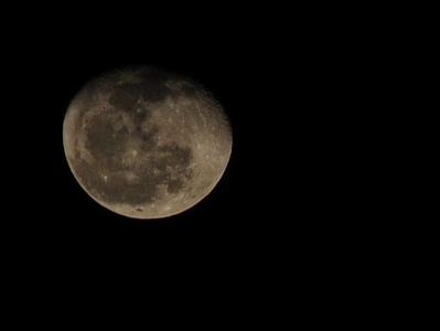 我心明月照沟渠 我本有心向明月，摔进沟渠满脸血