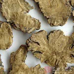 土茯苓治痛风服用方法 土茯苓治痛风如何服用 土茯苓能够治痛风吗