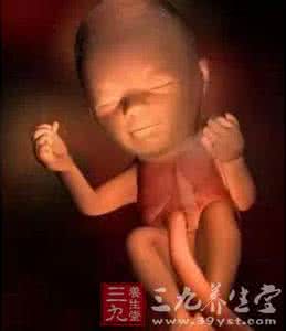 异世界迷宫探索者 探索 你所不知道的胎儿世界