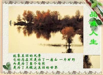 真情告白2017最新一期 一位大学生的真情告白