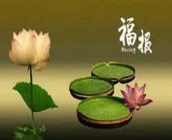 没有脾气的人有福报 脾气越温,福报越深