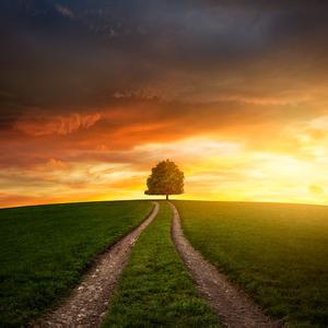 烟火 烟火流年，从容走过