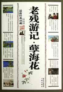 新孽海花 《孽海花》：《孽海花》-内容梗概，《孽海花》-角色介绍 新孽海花