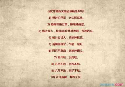 关于玉米的谚语 米 谚语 米与谚语