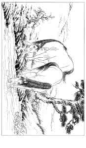 工笔画白描素材 工笔画白描素材 工笔画素材《骏马白描图》