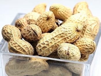 干果茶的做法 收藏干果的做法