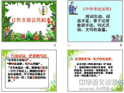 深圳亮起来了作文 作文:关注“文化”让你的作文亮起来