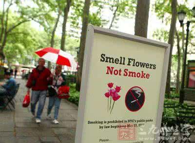 卓有成效的管理者 纽约禁烟为何卓有成效