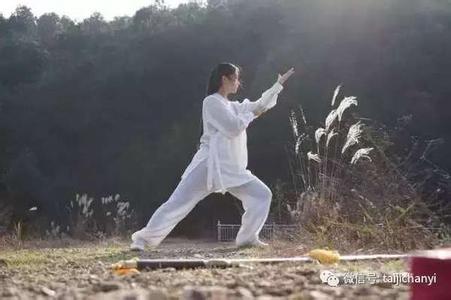 精气神的太极拳 太极拳的精气神 品味太极神韵,练出精气神!