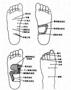 足部按摩治百病 足部按摩治腹泻