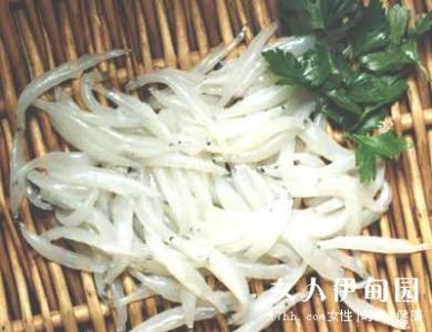 银鱼的营养价值 银鱼的营养价值 营养又健康的银鱼