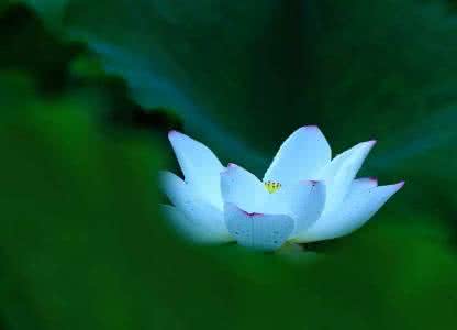 一日禅集锦经典 一日禅集锦（721）