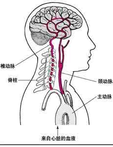 脑动脉硬化治疗方法 脑动脉硬化治疗方法 治疗脑萎缩脑动脉硬化方