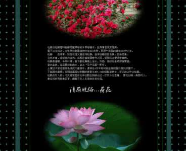 拉赫玛尼诺夫音画难度 中国人民解放军【极品音画】