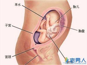 怀孕28周胎儿发育情况 26周胎儿发育情况图片 怀孕26周注意事项