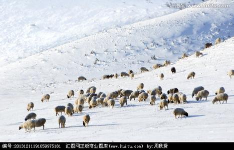 葵花籽 冬天不宜装修 冬天吃葵花籽好处多 但不宜多吃