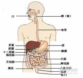 糜烂性直肠炎如何根治 如何预防直肠炎并发症