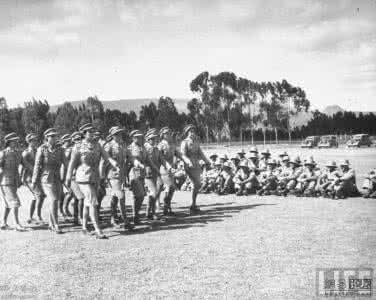南非女兵 1943年南非军队中的漂亮女兵 格外诱人 军队