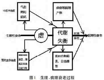 现代医学 中医学 中医学与现代医学对衰老认识的相关性举隅