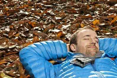 方舟生存进化精英龙 《你为生存做些什么》英  达纳.左哈 伊恩.马歇尔