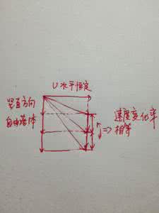 自由落体运动 什么是自由落体运动 以下运动中在相等的时间内速度变化不相同的是（）A．自由落体运动B．竖直上抛运动C．匀速圆周运动D．平