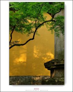 禅的智慧故事全集 禅的智慧