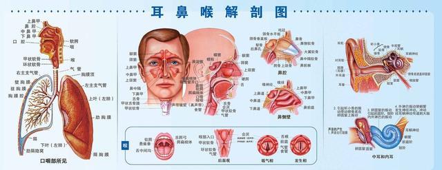 实用常见病艾灸疗法 28种常见病的艾灸穴位指导