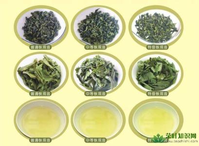 铁观音抗癌 铁观音对抗癌与抗衰老的积极作用