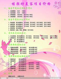 美容院项目价格表 美容项目价格表 美容院项目价格表