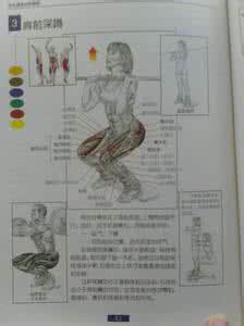 怎样瘦小腿的肌肉 怎样练腿肌肉呢