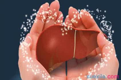 养肝护肝的食物 如何养肝护肝 多吃这些食物保护肝脏功能