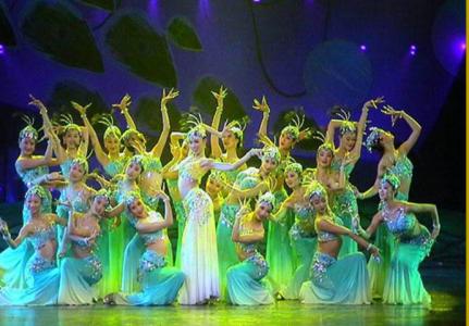 专业印度舞蹈视频大全 .专业舞蹈集锦大全（视频）