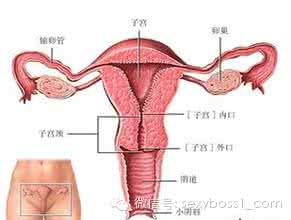 不知道怀孕吃了避孕药 女人避孕不得不知道的七点：1、和肿瘤的关系