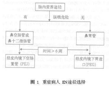 危重病人的营养支持 危重病人的营养代谢支持