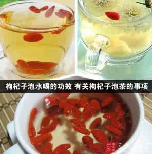 枸杞子如何泡茶 枸杞子泡茶 枸杞子泡茶 枸杞如何泡茶呢？
