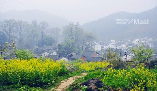 婺源石城 梦中仙境【婺源】油菜花海路线 之 石城-菊径-清华