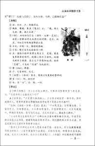 感悟人生的经典短文 经典精萃短文（32）——人若忘我品自高